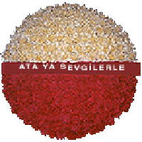 Ankara �i�ek�i firmam�zdan An�tkabir i�in �i�ek �elenk modeli