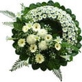 Ankara Elvankent �i�ek�i firma �r�n�m�z cenazeye �i�ek �elenk modeli Ankara �i�ek g�nder firmas� �ahane �r�n�m�z