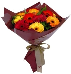 �zel bir tanzim isteyenler i�in  renkli ve canl�m� canl� gerberalar