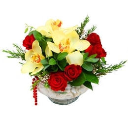 camda 5 adet g�l ve 3 adet kandil orkide Ankara Ostim �i�ek g�nderimi firmas� �r�n�m�z 