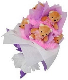 5 adet ay�c�ktan yap�lm�� pelu� oyuncak ay� demeti